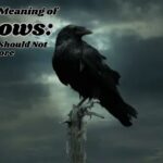 Spiritual Meaning of 4 Crows: Signs You Should Not Ignore